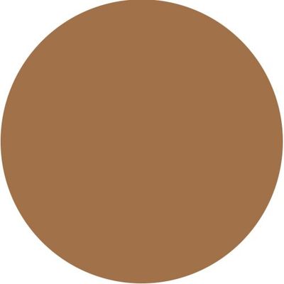 Luxury Oil Blotting Pressed Powder by Flori Roberts, Long Lasting Oil and Shine Control, Flawless Complexion for Women of Color or Deeper Skin Tones