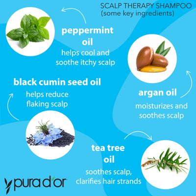 PURA D'OR Therapy Shampoo (16oz) Hydrates &amp; Nourishes - Scalp Care Shampoo For Itchy Flaky Scalp w Tea Tree, Peppermint, Patchouli, Cedarwood, Clary Sage, Argan Oil (Packaging may vary)