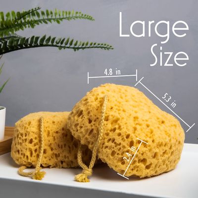 myHomeBody Bath Sponge, Foam Loofah Sponge, Body Sponge for Shower - Large Size, Lots of Lather, Curvy, 3 Pack