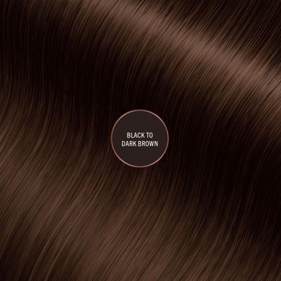 EVERPRO Gray Away Root Touchup Quick Stick, BlackDark Brown, 0.1 Oz