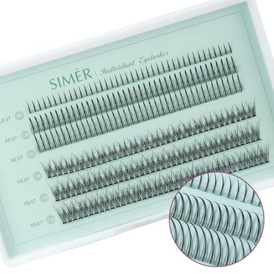 Individual Lashes 240 Clusters Eyelashes Extensions 3 Types Natural Fairy Manga Lashes 6-11mm Mixed Lashes Clusters DIY at Home (A Type &amp; Fishtail &amp; Bottom Lashes)