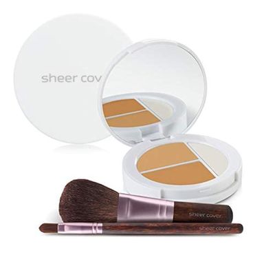 Sheer Cover - Flawless Face Kit - Perfect Shade Mineral Foundation - Conceal &amp; Brighten Highlight Trio - with FREE Foundation Brush and Concealer Brush - Tan Shade - 4 Pieces