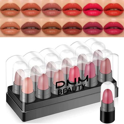 BINGBRUSH 12Pcs Mini Capsule Makeup Lipstick Pills Set, Lpiz Labial Rojo Matte Lipstick Lip Stain Set Women Nude Brown Dark Red Matte Matt Lipsticks Cute Lip Stick Purse Set