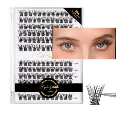 Lash Clusters 144pcs D Curl Individual Lashes DIY Lash Extension, Eyeberly LASH 10121416mm Mix Length Cluster Lashes Natural Look Eyelash Extensions DIY Wispy Lashes at Home(Princess)