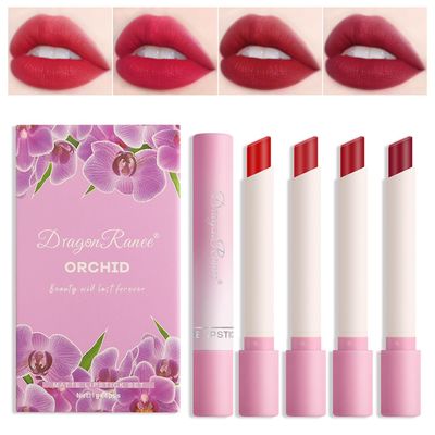 Cigarette Matte Lipstick,4 Colors Nude Velvet Air Moisture Lip Glossy,24 Hour Superstay Waterproof Long Lasting Lip Tint Stain Set, Lipstick for Women Makeup (Set A)