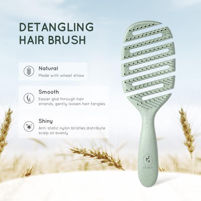 Ecoed Degradable Vented Hair brush,Detangling Brush,Detangler Brush for Curly, Thick, and Straight Hair, Dry and Wet Detangling Quickly Detangles and Smooths hair,Hair Brush for Women and Men.