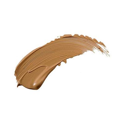 Perfection Multi-Use Concealer (COLOR - NUTMEG FCPF05)