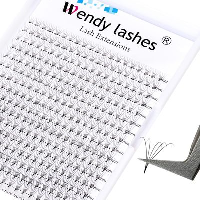 Lash Extension Premade Fans Eyelash Extensions 320PCS Pre Made Fans 5D6D Lashes 0.07mm CD Curl Promades Eyelash Fans Mixed Length 9-1613-20mm Eyelash Extension(5D-0.07-C, 916mm Mixed Tray)