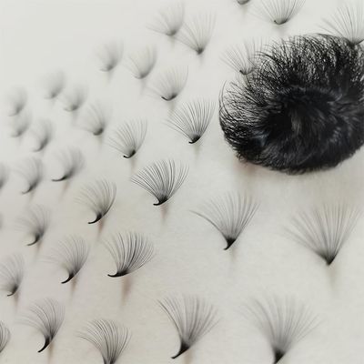 Lash Extensions 25D D 1000 Fans Handmade Pinching Fans Premade Cashmere Mega Volume Eyelash Matte Black Promade Loose Fans Pro Made Lash Extensions