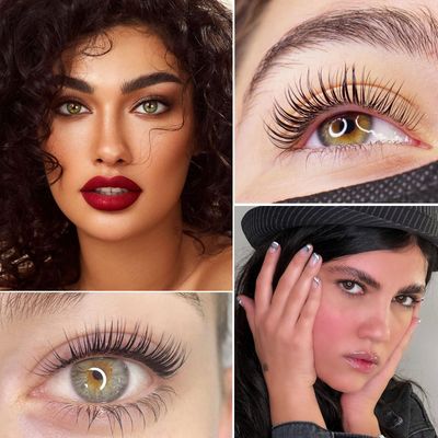 PERMANIA Lash Lift with Black Color Kit, Quick Eyelash &amp; Brow Lamination 15 Mins Coloring Natural Black Result in Lash Enhancers &amp; Primers