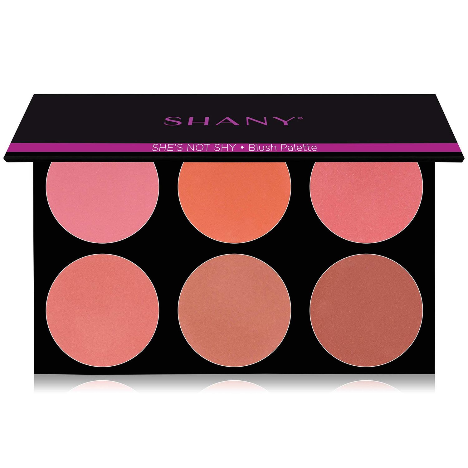 SHANY The Masterpiece 6 Colors Large Makeup Blush Palette - SHE&#39;S NOT SHY