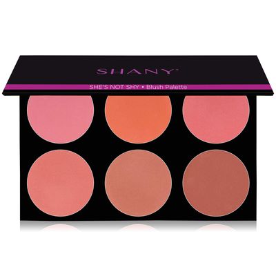 SHANY The Masterpiece 6 Colors Large Makeup Blush Palette - SHE&#39;S NOT SHY