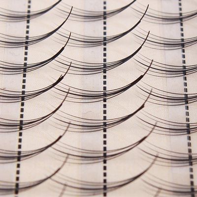 Dedila Pro Granting 3D Mink Phoenix Tail Design Individual False Eyelashes Cluster 5 Root 0.07 C Curl Eye Lash Extension Health Makeup Tools (14MM)