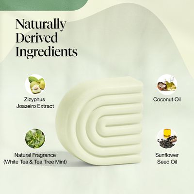 Kitsch Tea Tree &amp; Mint Solid Natural Hair Conditioner Bar for Curly Wavy Fine Hair, Clarifying &amp; Cleansing Organic Conditioner, Hair Color Safe, Zero Waste, Vegan, Eco Friendly, Sulfate Free, 2.7 oz