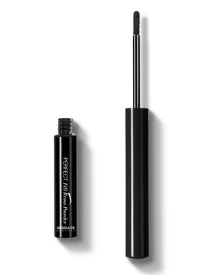 Absolute Perfect Fill Brow Powder - Charcoal