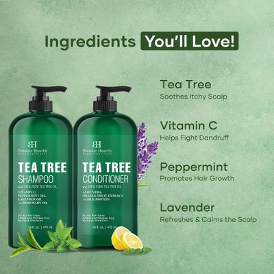 Botanic Hearth Shampoo and Conditioner Set - with 100% Pure Tea Tree Oil, for Itchy and Dry Scalp, SulfateParaben Free - for Men and Women - 16 fl oz each