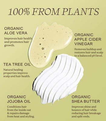 Ingreendients Non Toxic Vegan Shampoo and Conditioner with Organic Ingredients, Apple Cider Vinegar, Tea Tree Oil - Color Safe, Paraben & Gluten Free, Silicone & Sulfate Free, pH Balanced