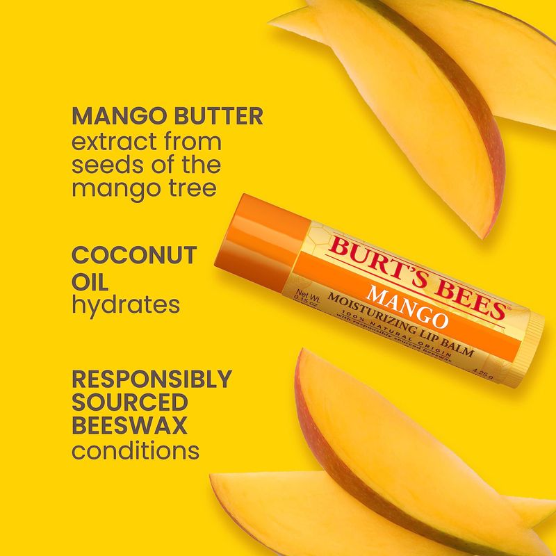 Burt's Bees Lip Balm Stocking Stuffers, Moisturizing Lip Care Christmas Gifts, SuperFruit - Pomegranate, Coconut &amp; Pear, Mango, Pink Grapefruit, Natural Origin Treatment (4-Pack)