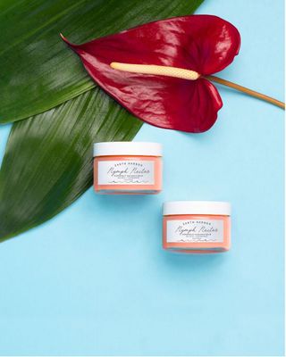 Earth Harbor | NYMPH NECTAR Superfruit Radiance Balm | Deep Moisturizer and Sleeping Mask | Superberries + Sea Fruit | 100% Natural + Vegan | 1 oz