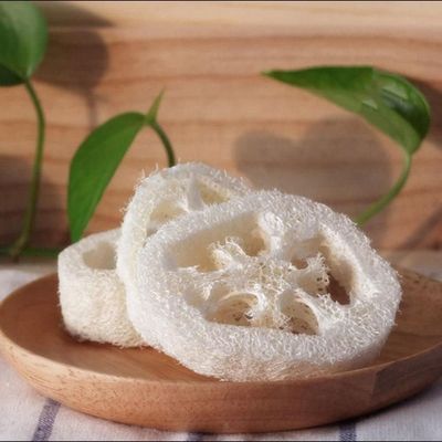 10Pcs White Natural Loofah Slices for Soap Making, Loofah Exfoliating Body Sponge Scrubber for Skin Care Loofa Soap Supplies Bathing Accessories