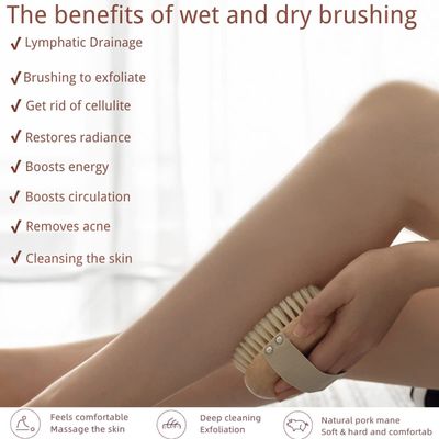 Ergonomic Premium Wood Body Brush for Wet & Dry Use - Easy to Carry, Soft Bristles Exfoliate Dead Skin & Cellulite, Ideal for Dry Brushing, Enhances Skin Health & Circulation