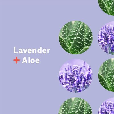 Everyone Nourishing Lavender &amp; Aloe Lotion, 8 FZ