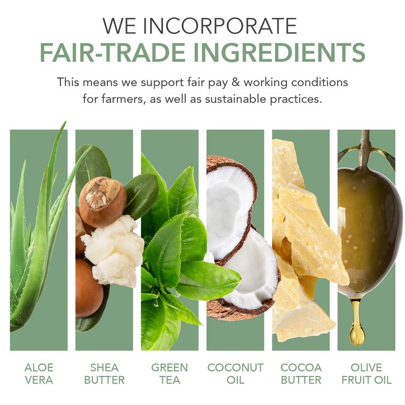 emerginC Signature Facial Bar - Naturally Formulated Soap for Face to Clean, Moisturize &amp; Nourish Skin - Cocoa Butter, Echinacea Oil, Lavender Oil, Rose Clay &amp; Orange (4.5 oz)