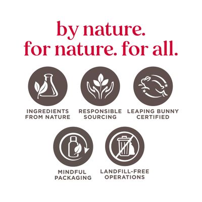 Burt's Bees Stocking Stuffers, Lip Masks Christmas Gifts, Moisturizing Lip Mask, Single Use Conditioning Lip Care, Natural Origin Treatment (6-Pack)