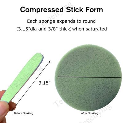 Facial Sponge Compressed,60 Pcs PVA Professional Makeup Removal Wash Round Face Sponges Spa Pads Exfoliating Cleansing for Women,Green