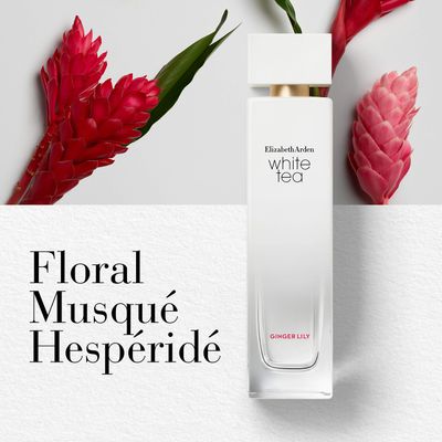 Elizabeth Arden White Tea Ginger Lily Body Cream, Moisturizing &amp; Hydrating with Shea Butter, 13.5 oz.