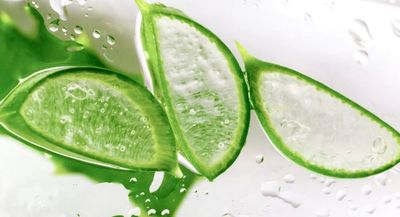Dermasil Aloe Fresh Moisturizing Body Lotion