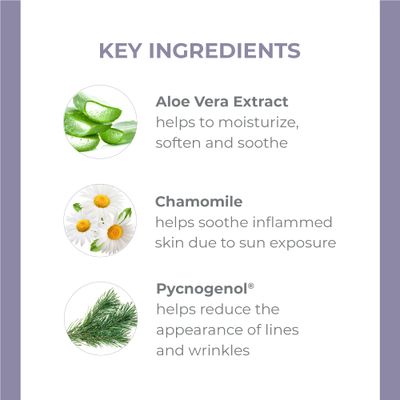 Derma E Vitamin E Fragrance Free Sensitive Skin Shea Hand Repair Cream - Intensive Therapy Hand Cream - Cruelty Free Unscented Lotion for Dry or Cracked Skin, 2 oz