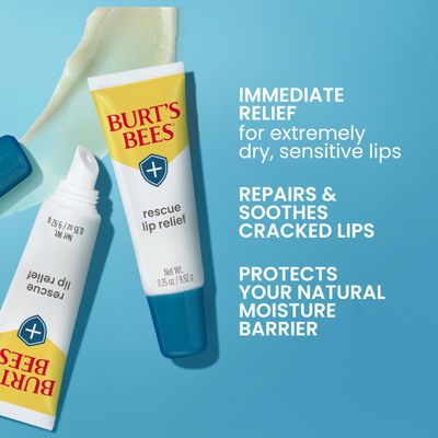 Burts Bees Valentines Day Gifts, Rescue Lip Relief with Shea Butter and Echinacea, 100% Natural Origin, 0.35 Ounces