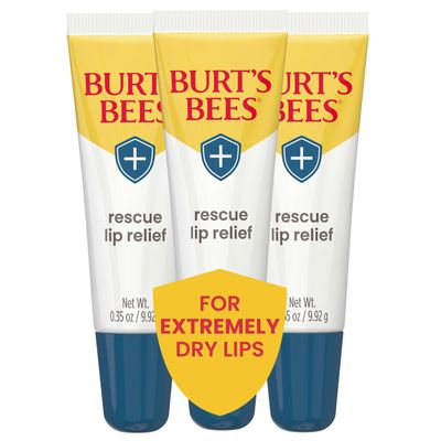 Burts Bees Valentines Day Gifts, Rescue Lip Relief with Shea Butter and Echinacea, 100% Natural Origin, 0.35 Ounces