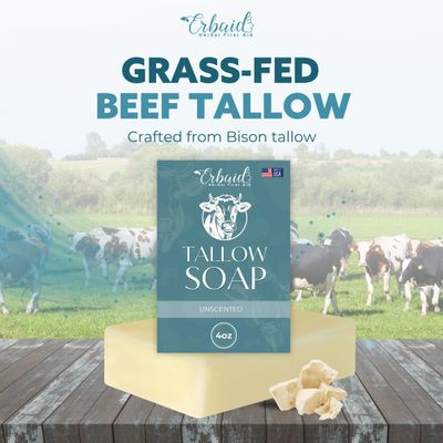 Beef Tallow Soap Bar - All Natural Grass Fed Tallow Soap Unscented - Moisturizing Face &amp; Body Wash Great for Eczema, Dry, Itchy, Sensitive Skin - Handcrafted Bath Soap for Adults, Kids, Made in USA