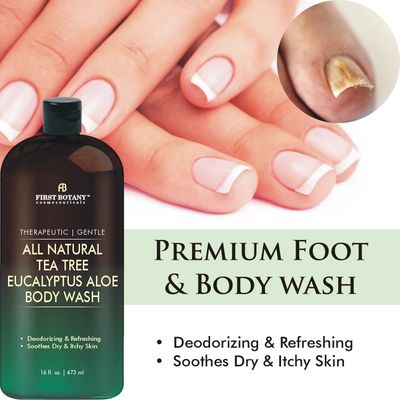 First Botany, ALL Natural Body Wash - Fights Body Odor, Athlete's Foot, Jock Itch, Nail Issues, Dandruff, Acne, Eczema, Shower Gel for Women &amp; Men, Skin Cleanser -16 fl oz (Tea Tree Eucalyptus)