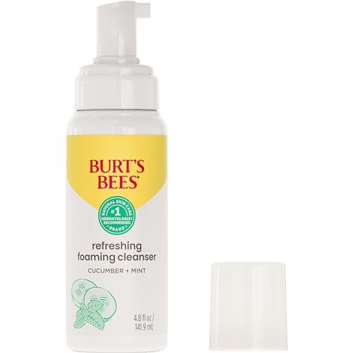 Burt&#39;s Bees Refreshing Foaming Face Cleanser and Natural Face Wash with Cucumber and Mint, 4.8 Fluid