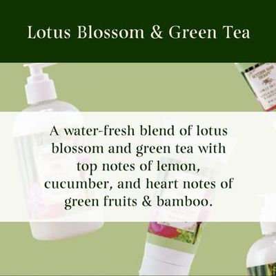 Camille Beckman Glycerine Hand Therapy Cream (Lotus Blossom &amp; Green Tea, 1.35 Ounce)