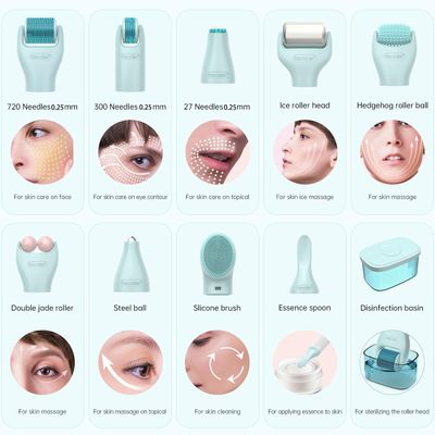 Gdbanlimi 10 in 1 Derma Roller Kit, 0.25mm Microneedling Roller Microneedle Dermaroller with, Facial Beauty Roller Skin Care Tools, 10 Replaceable Heads and Storage Case