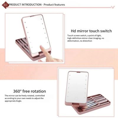 FANPOI Portable Makeup Mirror with 5 Makeup Brushes Travel Case Storage Box LED Rechargeable Makeup Mirror (Pink)