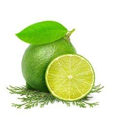 Fruits &amp; Passion [Cucina] - Lime Zest &amp; Cypress Tree Hand Care Duo Caddy Gift Set | Liquid Hand Soap Wash (5.1 oz) with Hand Cream Lotion (6.8 oz)