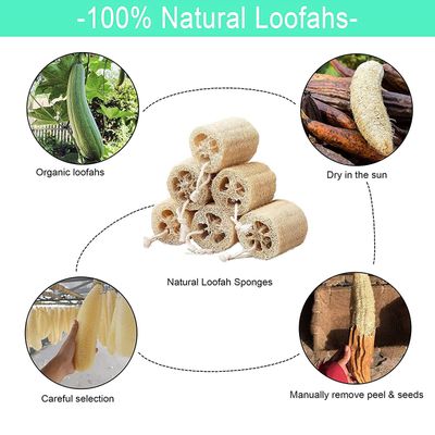 FRTIM Natural Loofah Sponge Shower Organic Luffa Bath Loofa Exfoliating Body Scrubber Loofah for Men Women Adults Back Face Body Skin SPA Care - 6 Pieces