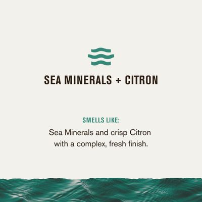 Every Man Jack Mens Sea Minerals + Citron Hand &amp; Body Lotion for All Skin Types - Dermatologist Tested &amp; Hypoallergenic - Nourish Skin with Lightweight Fast Absorbing Lotion - 13.5oz 2 Bottles