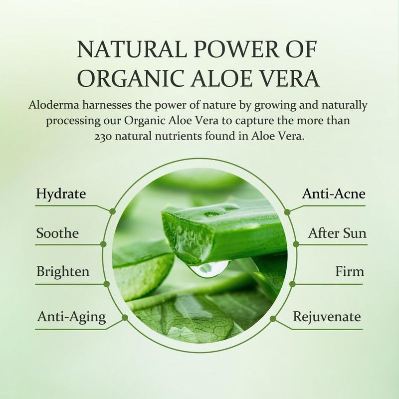 Aloderma Organic Aloe Vera Gel for Face &amp; Body, 96% Pure Aloe Gel Made within 12 Hours of Harvest, Ideal for Skin, Scalp, &amp; Hair Hydration, Calming Moisturizer for Soothing After Sun Care Relief, 7oz