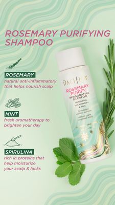 Pacifica Clarifying Shampoo - Rosemary Purify Invigorating Shampoo w/Soothing Mint for Detoxing Hair &amp; Scalp Build-Up, Sulfate &amp; Silicone Free - Vegan &amp; Cruelty-Free Dermatologist Tested