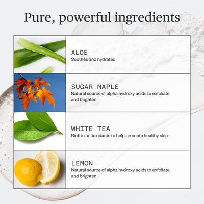 Ursa Major Fantastic Face Wash | Natural, Vegan &amp; Cruelty Free | Daily Foaming Facial Cleanser for Men &amp; Women | 8 ounces