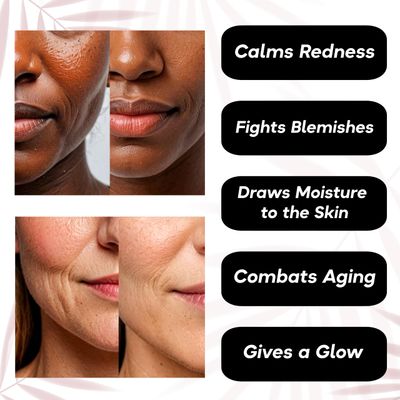 ZL SKIN Guard & Glow Hydrating Face Skin Care Mist - Moisturizes & Calms Redness, Balancing & Toning Facial Mist Spray - Active Skin Repair - Korean Inspired Skin Care for All Skin Types