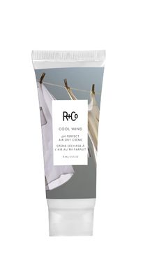 R+Co Cool Wind pH Perfect Air Dry Hair Cream Deluxe | Air Dry Styler Tames Frizz + Hydrates | Vegan + Cruelty-Free | 0.5 Oz