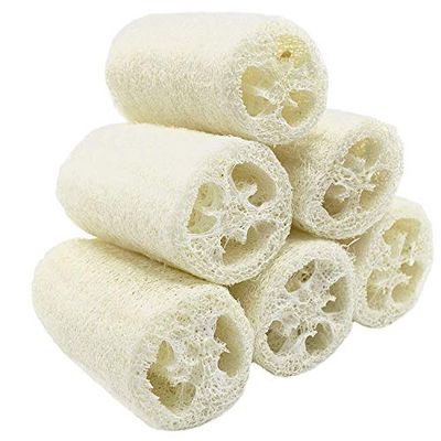 MAYMIIHome 100% Large (5&quot; Length) Nature 6 Pack of Organic Loofahs Loofah Spa Exfoliating Scrubber Natural Luffa Body Wash Sponge Remove Dead Skin Made Soap