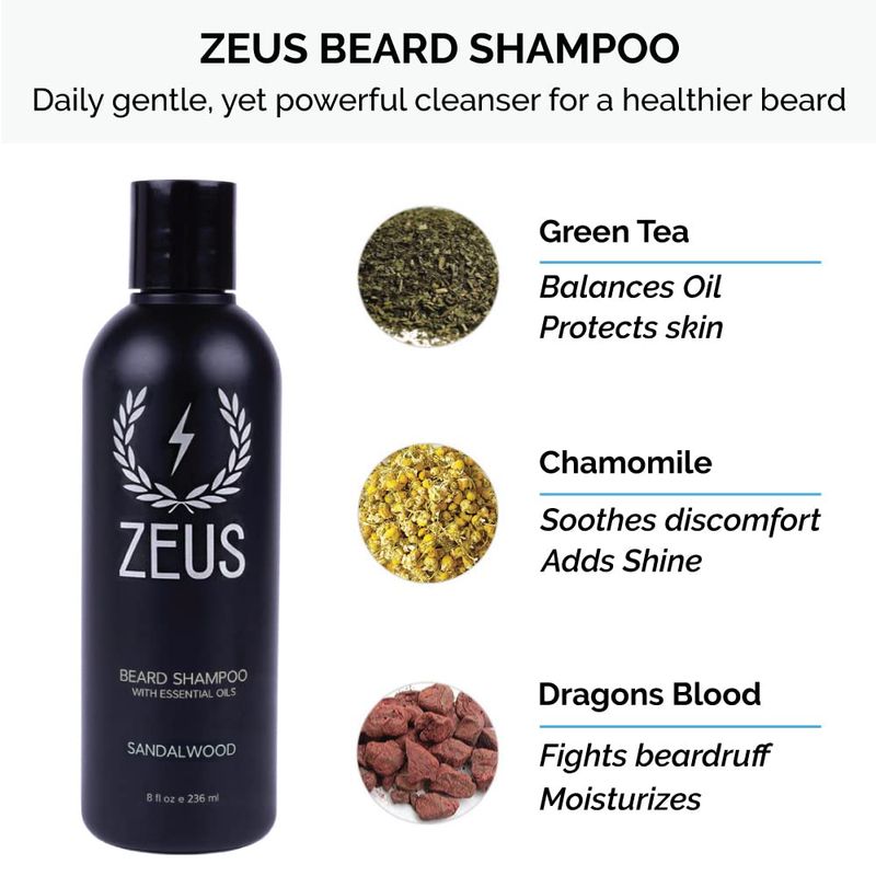 ZEUS Starter Beard Wash Kit with Travel Toiletry Dopp Bag - Beard Wash Shampoo &amp; Conditioner, Beard Brush &amp; Travel Toiletry Bag (Sandalwood)